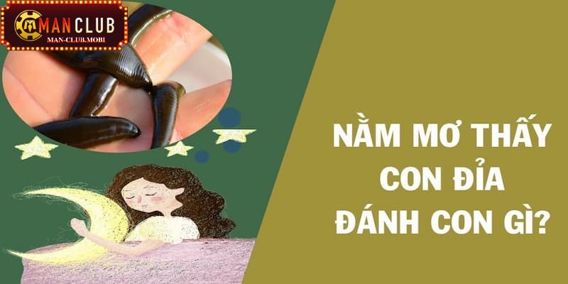 mơ thấy đỉa Mơ thấy đỉa đánh con số nào?