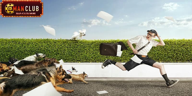 Mơ thấy bị rượt đuổi Mơ thấy bị rượt đuổi bởi những con chó hung dữ